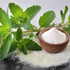 Endulza tu Vida de Forma Saludable: Todo sobre la Stevia